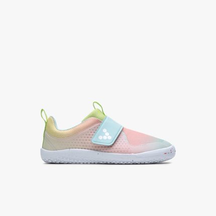 #color_ombre