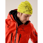 Arc'teryx Bird Head Toque - Image 54
