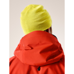 Arc'teryx Bird Head Toque - Image 56