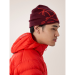 Arc'teryx Bird Head Toque - Image 40