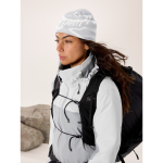 Arc'teryx Bird Head Toque - Image 42