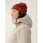 Arc'teryx Bird Word Toque - Image 16