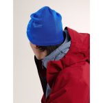 Arc'teryx Bird Head Toque - Image 23