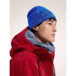 Arc'teryx Bird Head Toque - Image 24