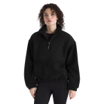#color_tnf-black