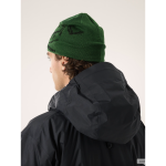 Arc'teryx Bird Head Toque - Image 31