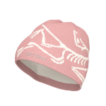 Arc'teryx Bird Head Toque - Image 14